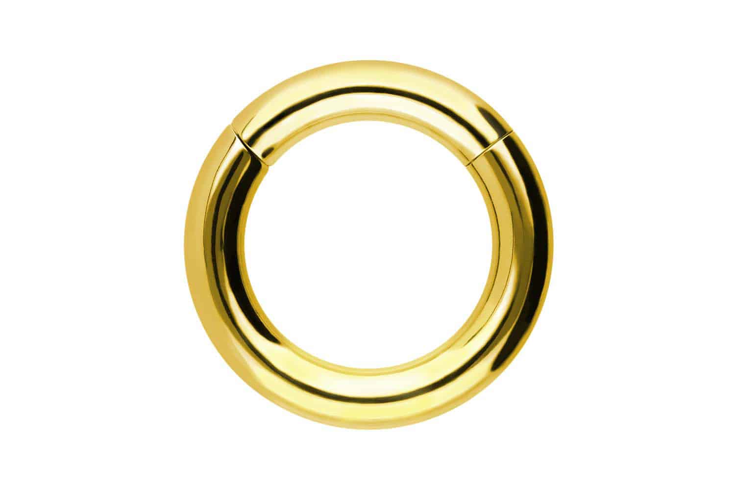 Chirurgenstahl Segmentring Clicker Piercing